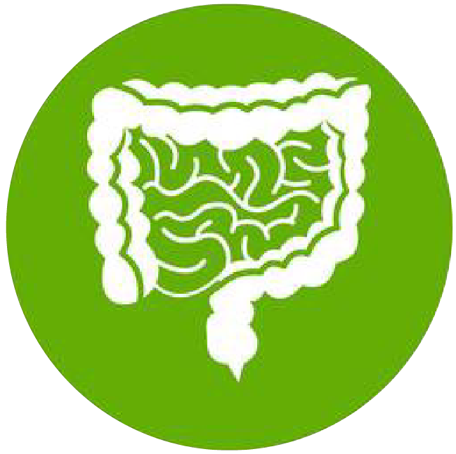 關(guān)注職場“腸”態(tài)，守護(hù)員工健康——上海格瑞特特邀消化內(nèi)科專家公益系列講座（4）(圖1)