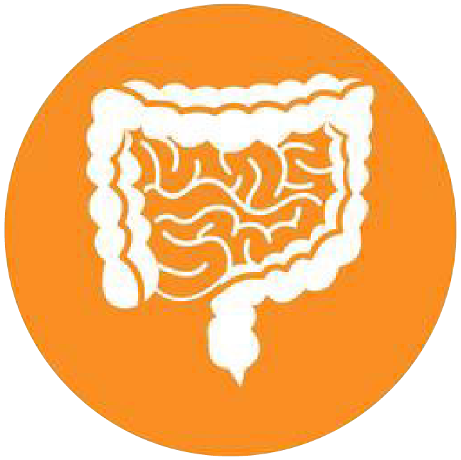 關(guān)注職場“腸”態(tài)，守護(hù)員工健康——上海格瑞特特邀消化內(nèi)科專家公益系列講座（4）(圖4)